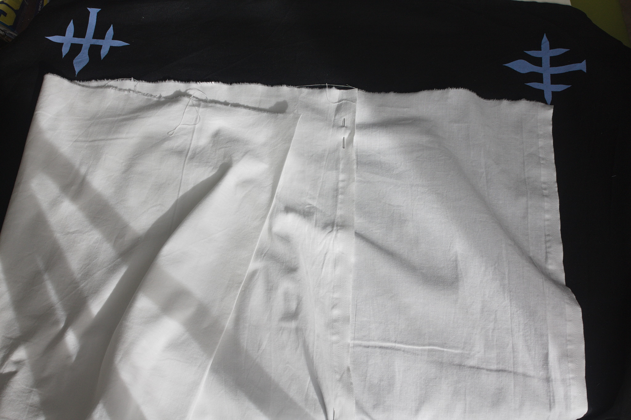 ../../../_images/0101-pinned_fabric.jpg